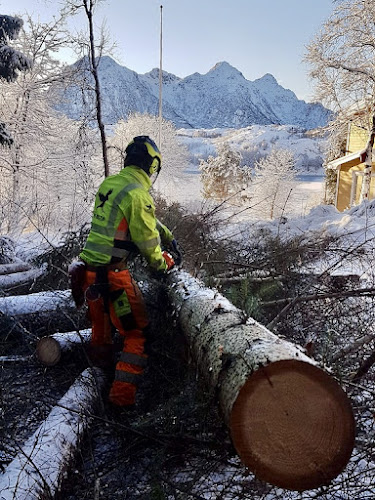 Bilde fra INGENIØR RAVN HUNSTAD i Kabelvåg